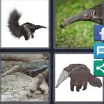 4 pics 1 word level 5309